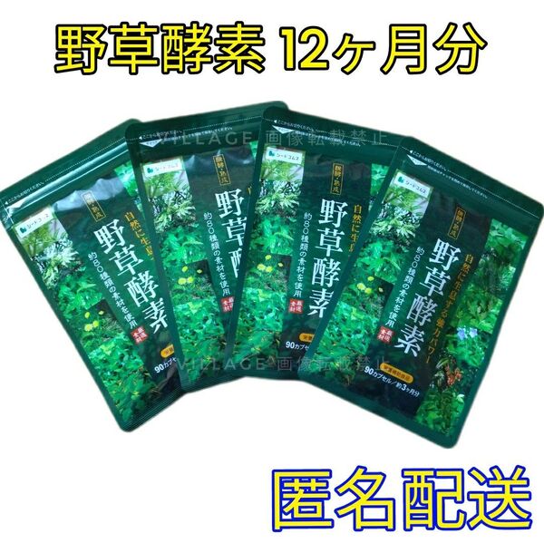 【野草酵素 シードコムス サプリメント 】12ヶ月分◎