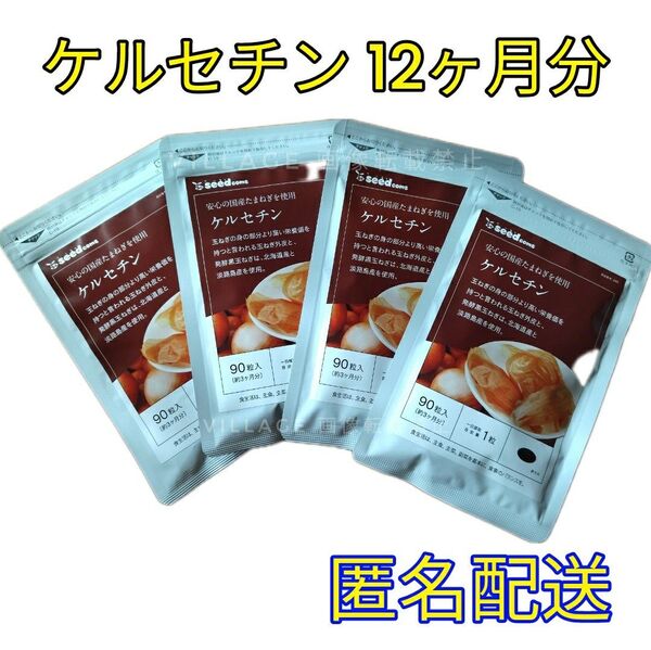 【ケルセチン シードコムス サプリメント】 国産タマネギ 12ヶ月分