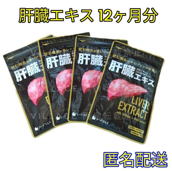 【肝臓エキス シードコムス サプリメント】オルニチン しじみエキス入り 12ヶ月分