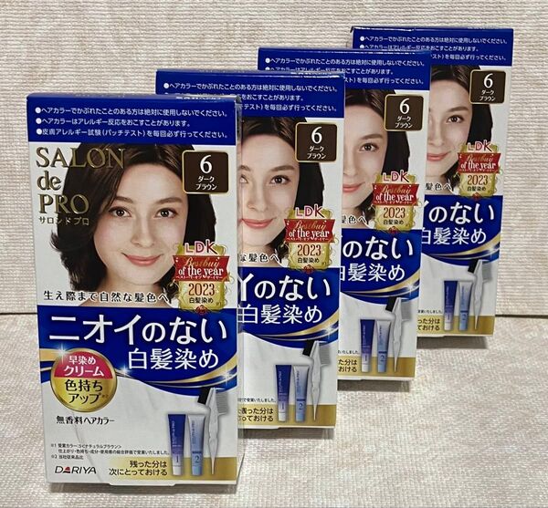 白髪染め ダリヤ サロンドプロ 無香料ヘアカラー 早染めクリーム(白髪用)6<ダークブラウン> 4箱