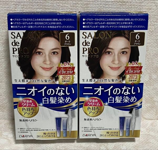 白髪染め ダリヤ サロンドプロ 無香料ヘアカラー 早染めクリーム(白髪用)6<ダークブラウン> 2箱