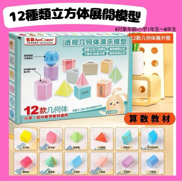 12種セット 算数 立体展開図 模型 小学校受験 中学校受験 学習 図形 苦手