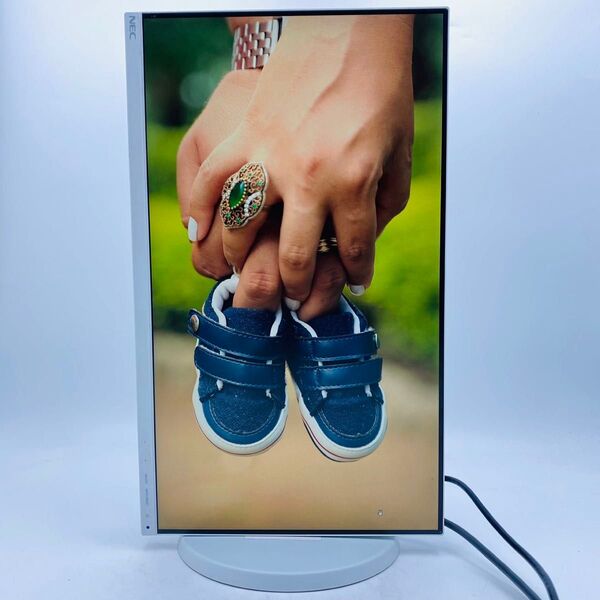 【PCモニター】NEC 21.5型 LCD-E221N スピーカー内臓 梱包丁寧 当日発送