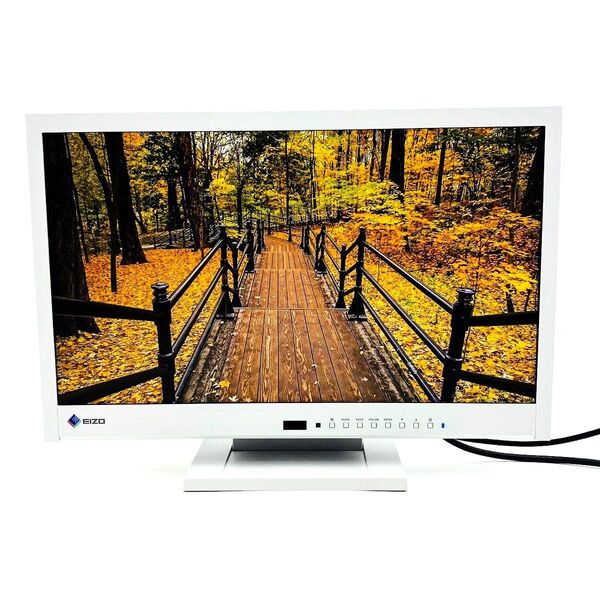 【PCモニター】EIZO 21.5型 FlexScan EV2116W スピーカー内臓 梱包丁寧 当日発送