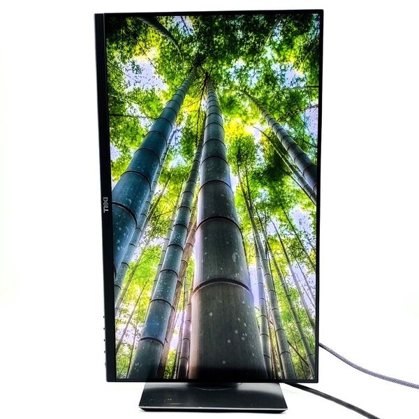 【PCモニター】DELL 23.8型 P2421D 梱包丁寧 当日発送