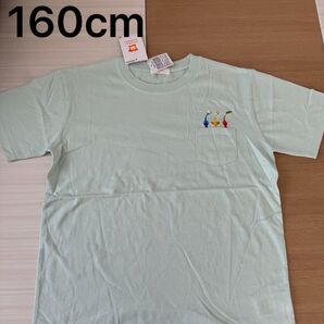 新品 任天堂 ピクミン Tシャツ 男の子 半袖 女の子 Tシャツ 160cm