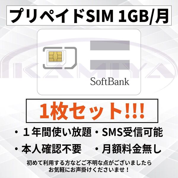 プリペイドSIMカード データ通信 1 GB/月 1年 SMS受信可!! LINE利用可!!
