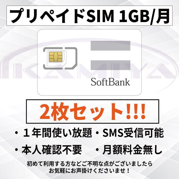 2枚セット!!プリペイドSIMカード データ通信 1 GB/月 1年 SMS受信可!! LINE利用可!!