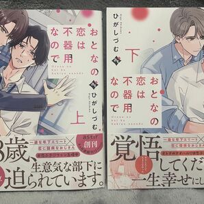 おとなの恋は不器用なので 上下巻 ひがしづむ