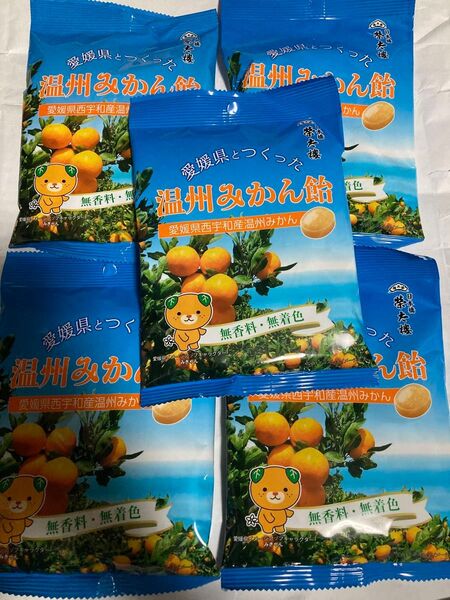 榮太樓總本舗 愛媛県とつくった温州みかん飴 80g 5袋