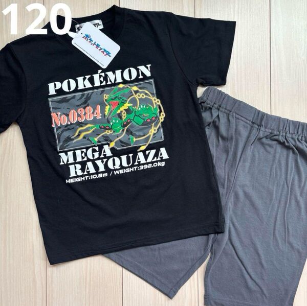 【ポケモン】レックウザ キャラクター Tシャツ☆ズボン パジャマ 120