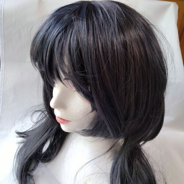 フルウィッグ 黒髪ロング コスプレ普段使い変装イメチェン