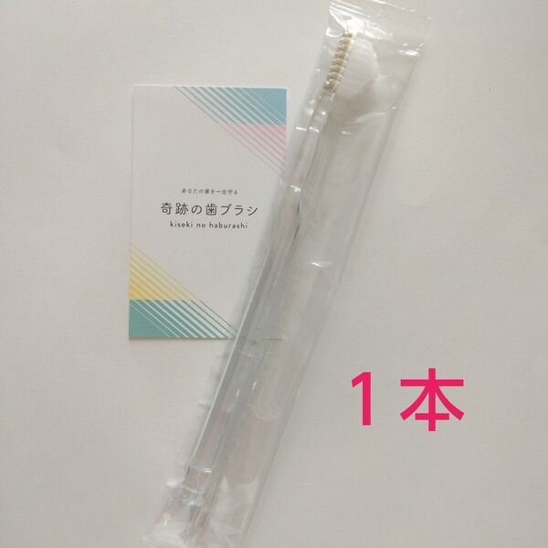【正規品】奇跡の歯ブラシ 大人用 1本〈カラーの選択不可〉