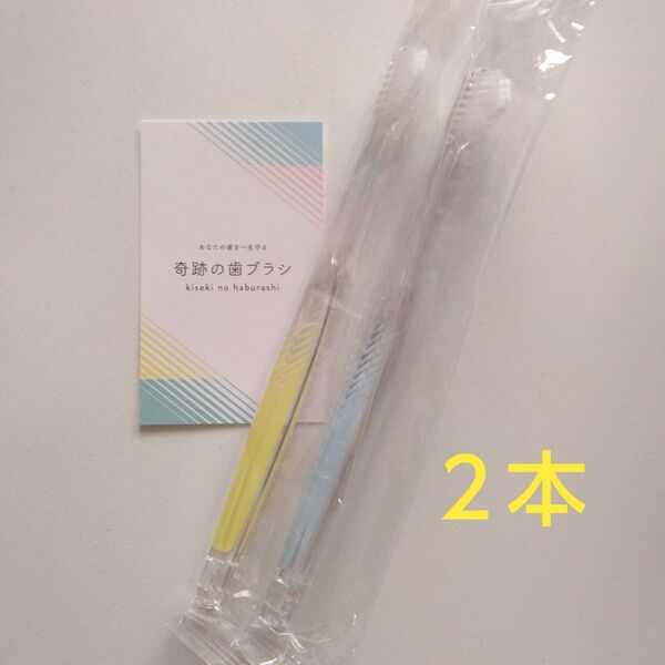 奇跡の歯ブラシ 大人用 2本〈クリアイエロー1・クリアブルー1〉バージョンアップ品!