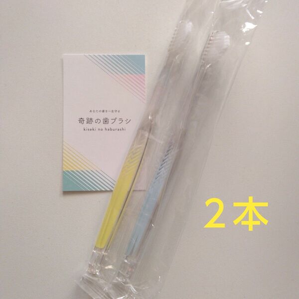 奇跡の歯ブラシ 大人用 2本〈クリアイエロー1・クリアブルー1〉バージョンアップ品!