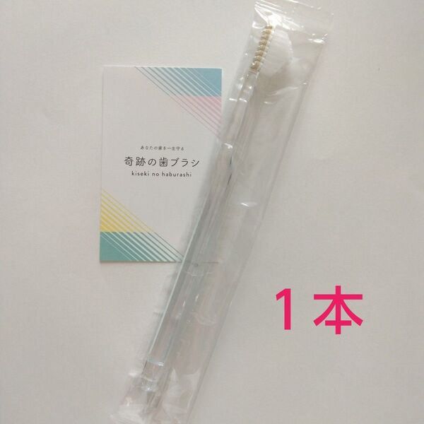 【正規品】奇跡の歯ブラシ 大人用 1本〈カラーの選択不可〉