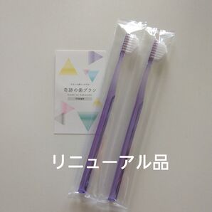 奇跡の歯ブラシ 大人用〈パープル〉2本 持ち手三角リニューアル品!