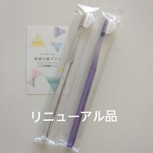奇跡の歯ブラシ 大人用 2本〈クリア1・パープル1〉持ち手三角リニューアル品!