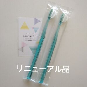 奇跡の歯ブラシ 大人用〈ミントブルー〉2本 持ち手三角リニューアル品!
