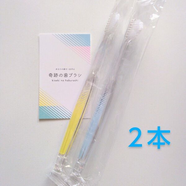 奇跡の歯ブラシ 大人用 2本〈クリアイエロー1・クリアブルー1〉バージョンアップ品!