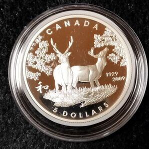 カナダ5ドル銀貨 約25g