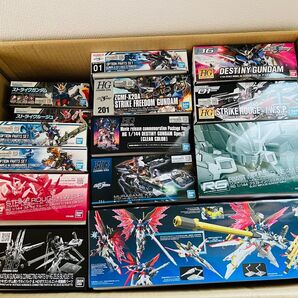 SEEDシリーズ ガンプラセット 未組み立て HG RG EG