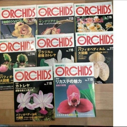 趣味の洋ラン ニューオーキッド No 112 113 114 115 116 117 118 119