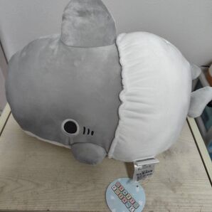 おでかけ子ザメ ベビー子ザメ ぬいぐるみ