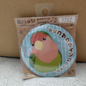 コザクラインコ 缶バッジ