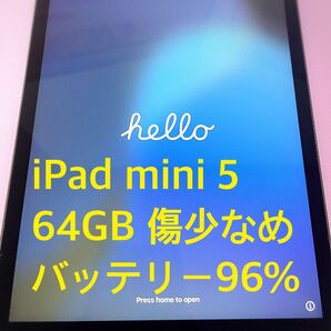 中古 iPad mini 第5世代 64GB Wi-Fiモデル スペースグレイ カバー付き