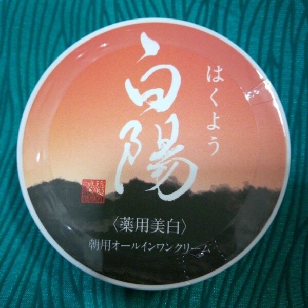 白陽オールインワンクリーム40g 1個