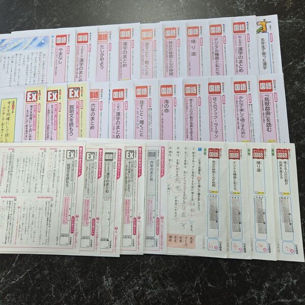 6年生カラーテスト国語 光村図書 日本標準