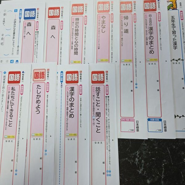 6年生カラーテスト国語 光村図書 日本標準1学期分