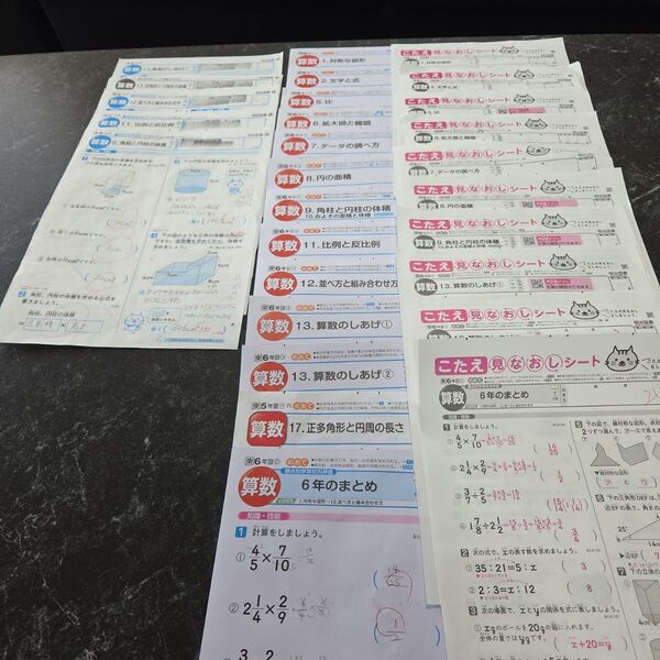 6年生カラーテスト算数 東京書籍 明治図書