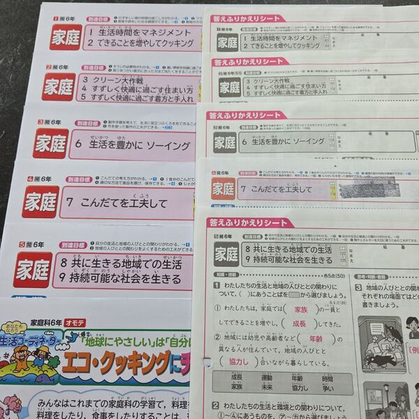 6年生家庭科カラーテスト