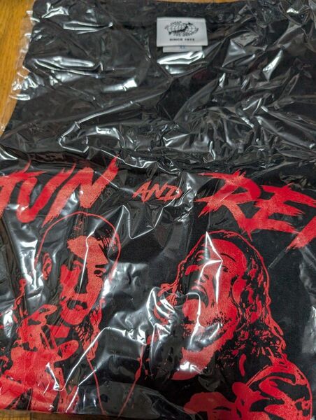 斉藤ブラザーズ 斎藤ブラザーズ 齋藤ブラザーズ 全日本プロレス プロレス Tシャツ