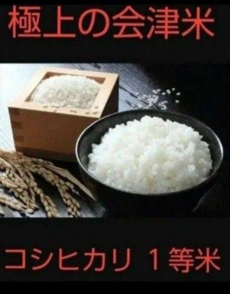 残りわずか!極上の会津米!コシヒカリ1等20kg