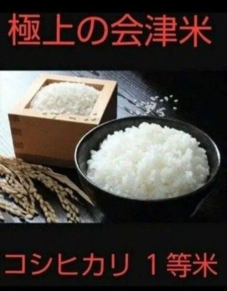 残りわずか!極上の会津米!コシヒカリ1等10kg