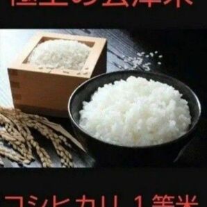残りわずか!極上の会津米!コシヒカリ1等10kg