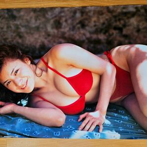青木裕子 水着ポスター 非売品幻のセクシー アイドル