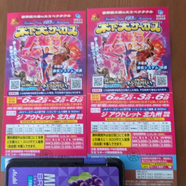 木下大サーカス 入場券 2枚セット