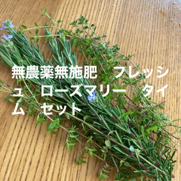 無農薬無施肥 フレッシュ ローズマリー タイム セット