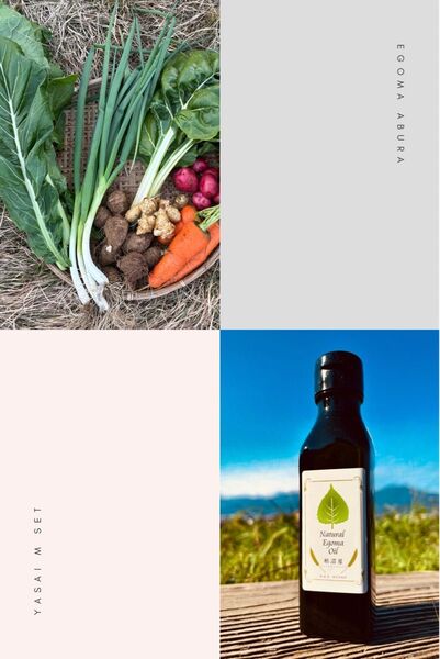 農薬・化学肥料・動物性肥料一切不使用【自然栽培・菌ちゃん農法】丹沢山麓の固定種・在来種野菜Mセット&えごま油 80サイズ5〜8品種