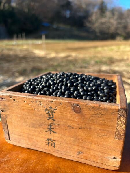 【自然栽培】丹沢山麓の幻の黒千石大豆1kg 農薬不使用・肥料不使用 送料込み