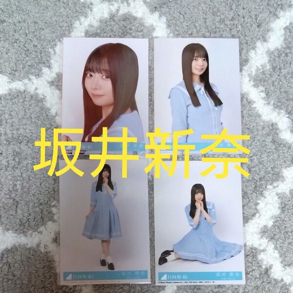 日向坂46 生写真 坂井新奈 コンプ Love yourself!