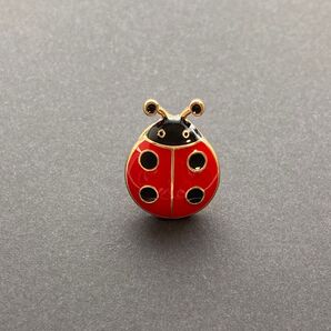 かわいい てんとう虫 エナメルの輝き ピンバッジ カジュアル プレゼント 贈り物 簡易ラッピング付 幸運のてんとう虫 アクセサリー