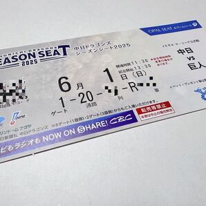 【定価以下】6/1 ダイナミックプライシング 中日vs巨人 バンテリンドーム チケット