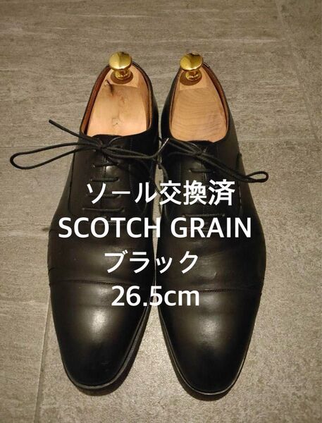 26.5cm スコッチグレイン SCOTCH GRAIN 内羽根ストレートチップ 箱無し ビジネス シューズ 革靴 本革 国産 黒