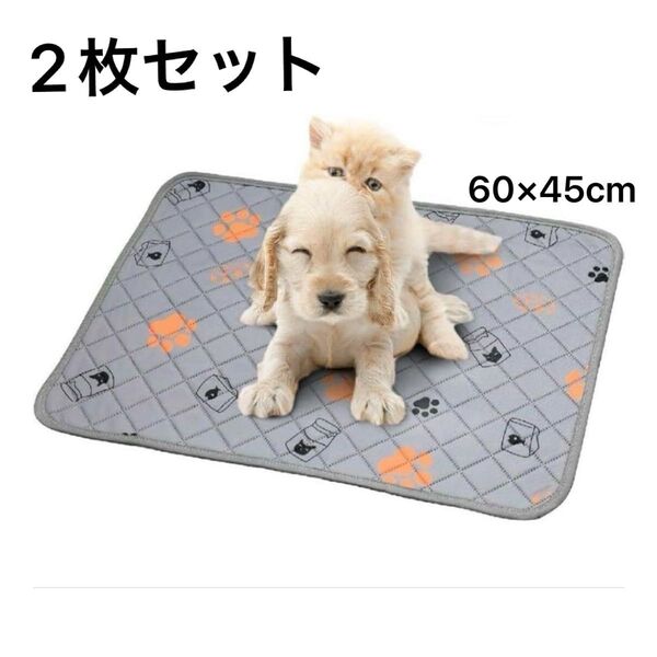 2枚入り 洗えるペットシーツ おしっこマット 犬 猫 防水 滑り止め 速乾 ペット 60×45cm