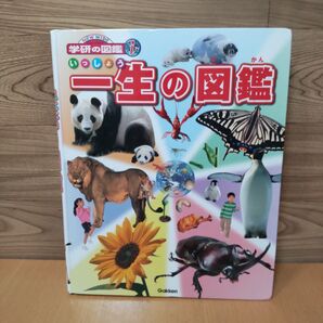【一生の図鑑 (ニューワイド学研の図鑑i) 阿部和厚/〔ほか〕監修】学研 図鑑